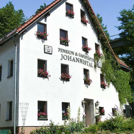 Pension Johannistal Sebnitz Zewnętrze zdjęcie